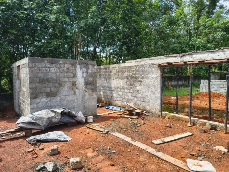Project Update 10